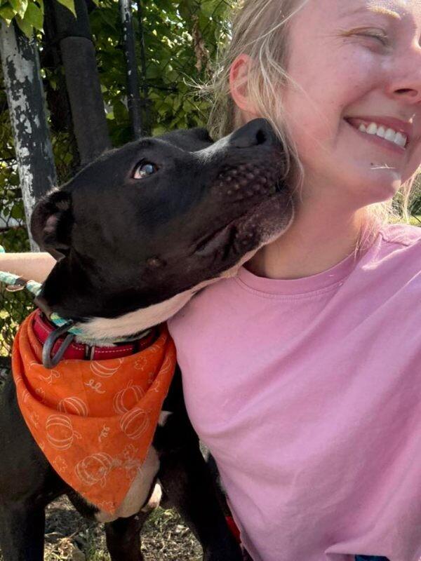 Enlarge Squire, a Adoptable Mixed Breed in Miamitown, OH image 2/4