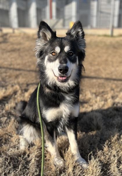 Molly — thumbnail 2