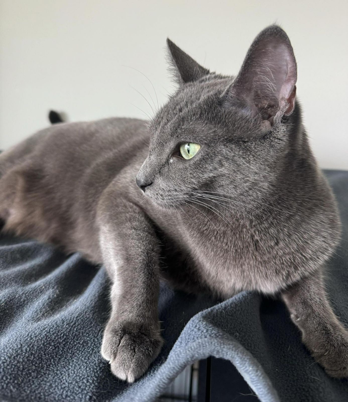 Stormi