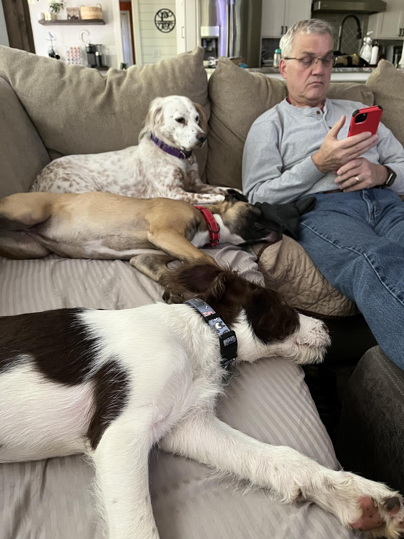 Enlarge Mikie, a ADOPTABLE mixed breed in Cumming, GA image 5/5