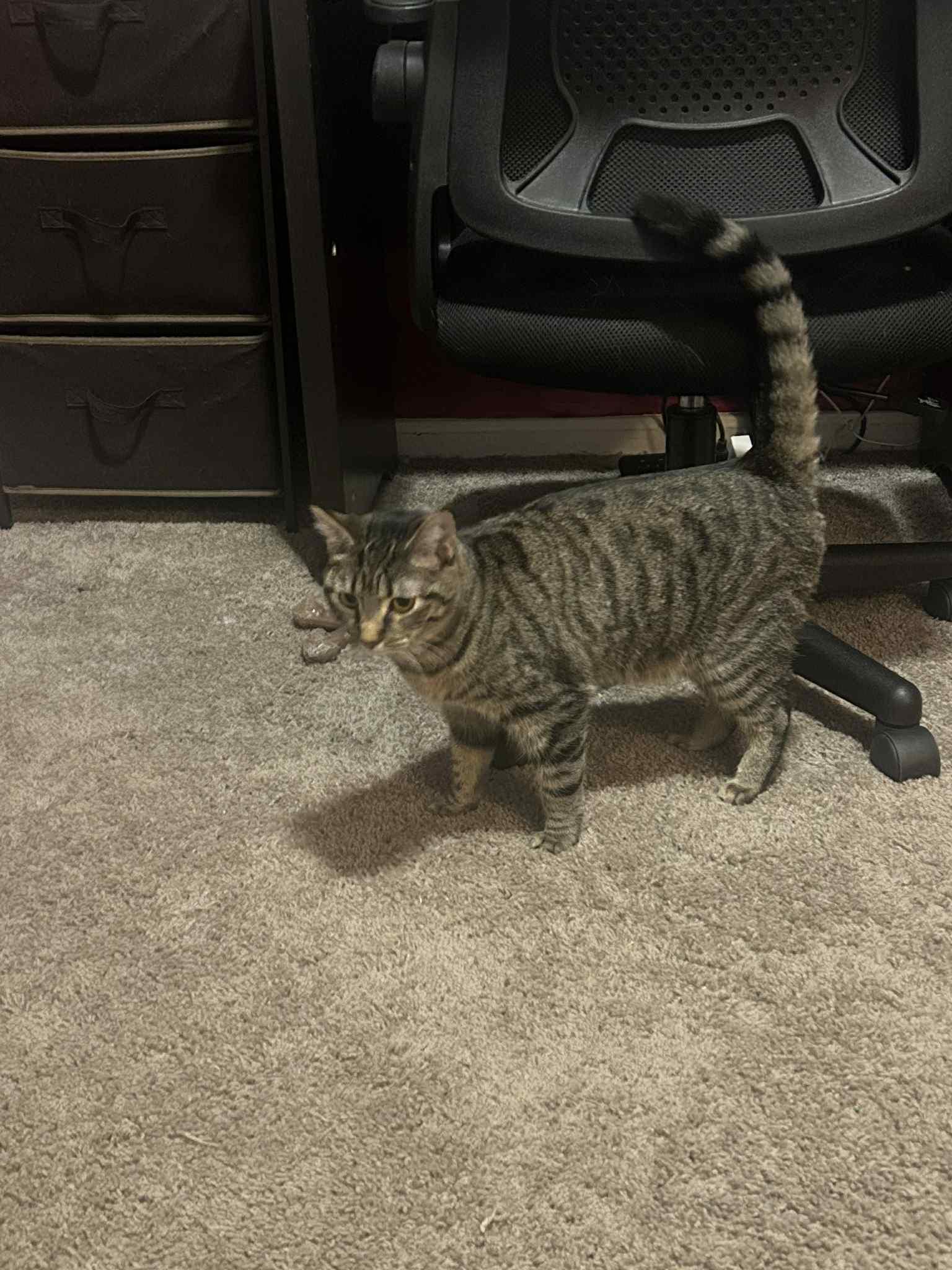 Turbo Granny thumbnail 3