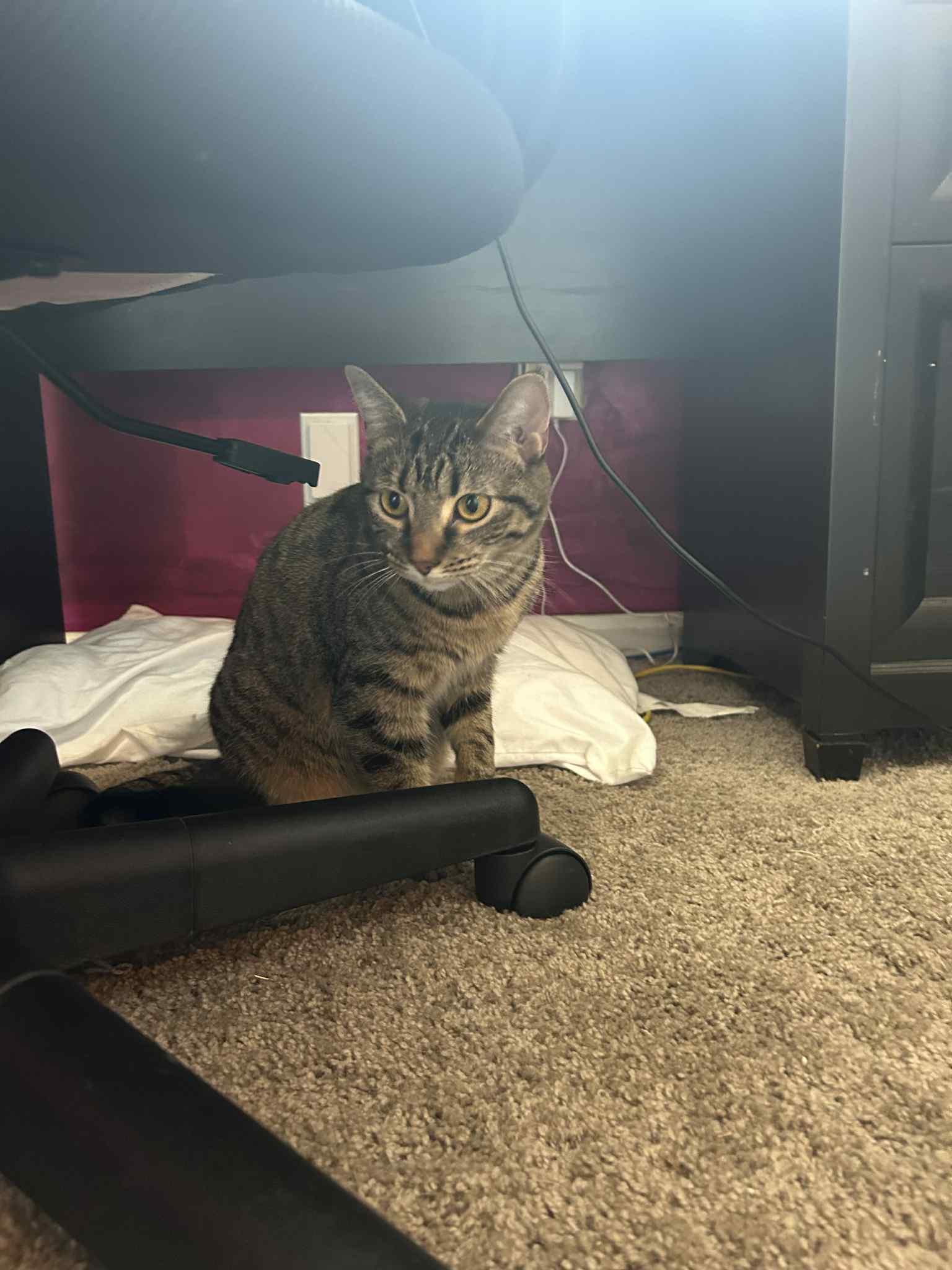 Turbo Granny thumbnail 5