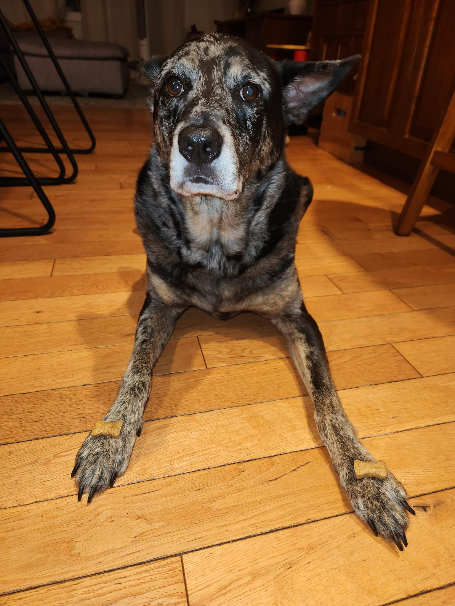 Leo - Nj thumbnail 3