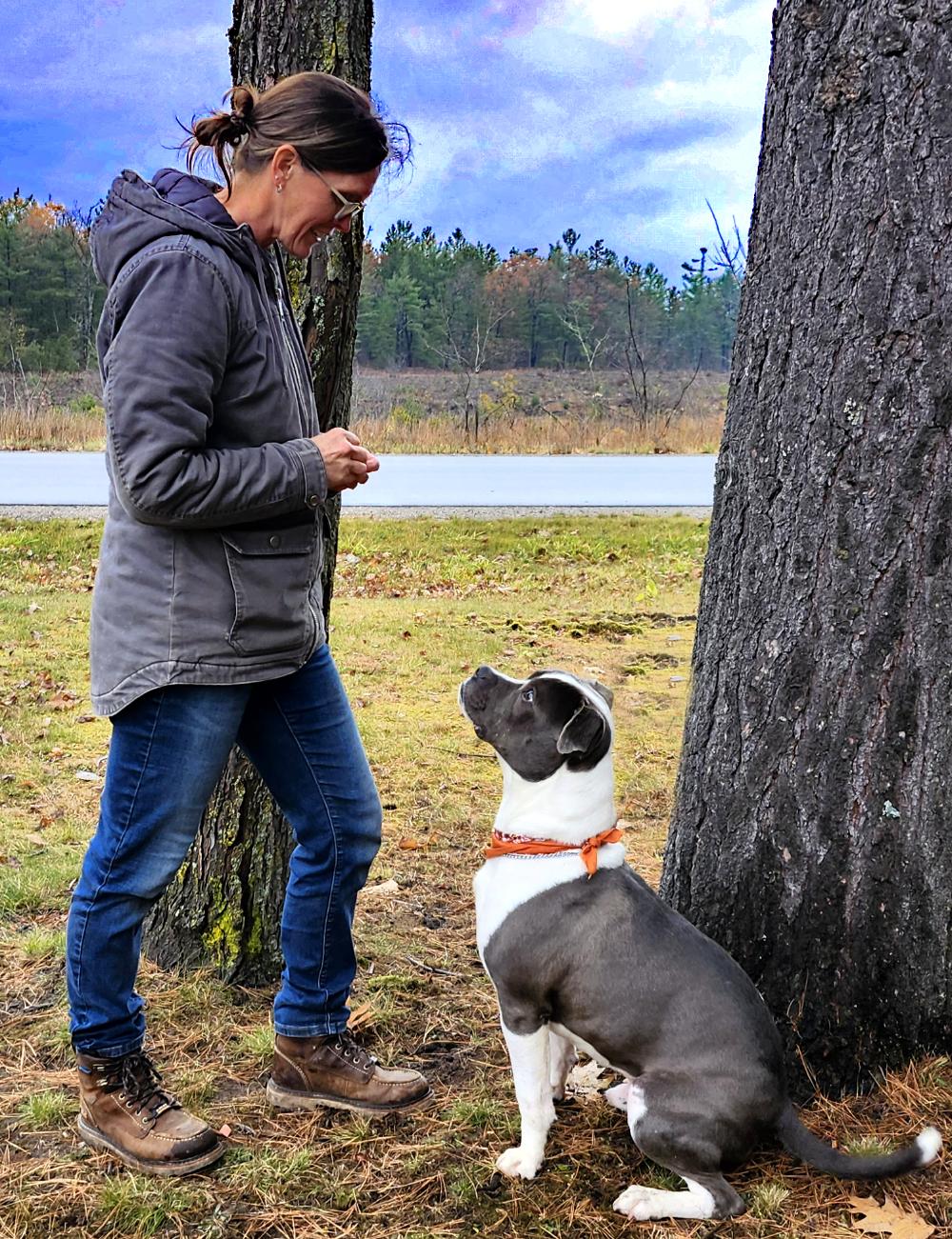 Sammy, a Adoptable mixed breed in Cheboygan, MI image 3/6