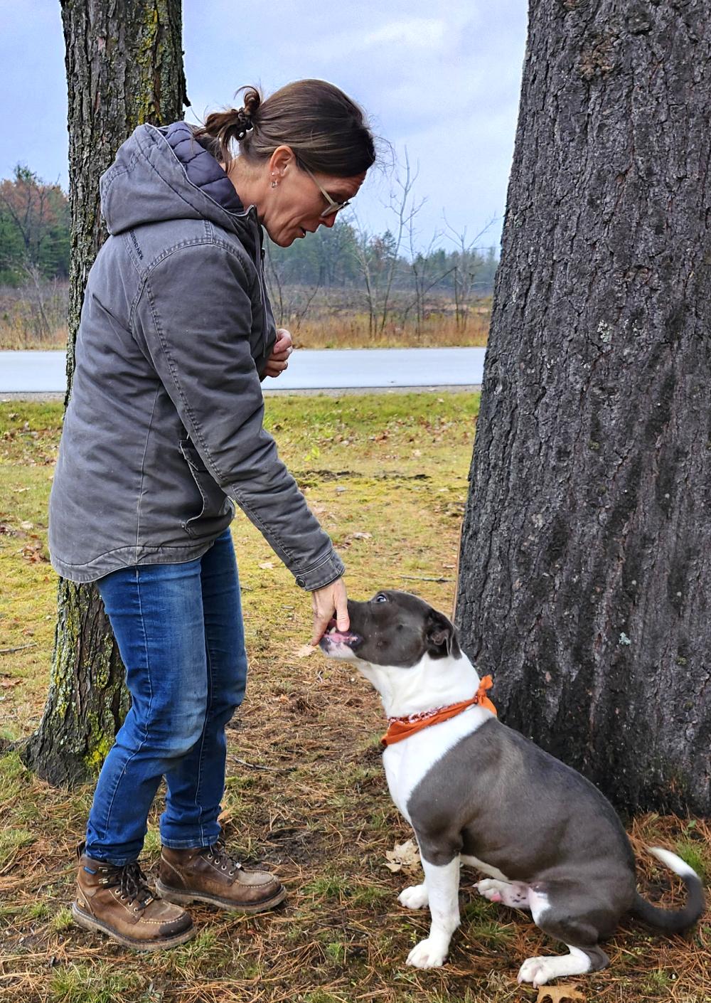 Sammy, a Adoptable mixed breed in Cheboygan, MI image 5/6