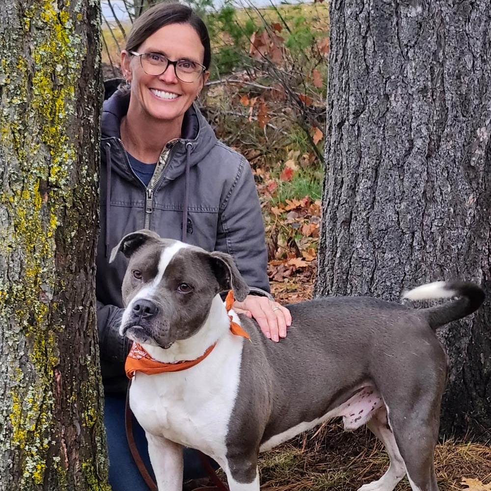 Sammy, a Adoptable mixed breed in Cheboygan, MI image 1/6