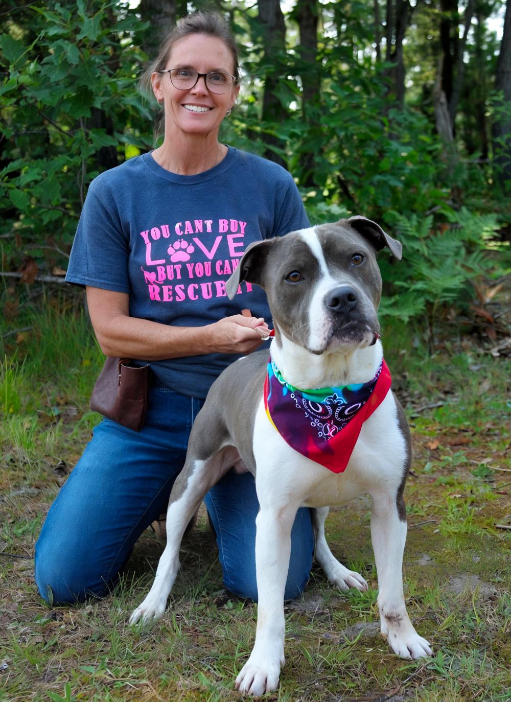 Sammy, an adoptable American Staffordshire Terrier in Cheboygan, MI, 49721 | Photo Image 1