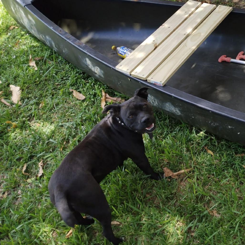 Penny — thumbnail 2