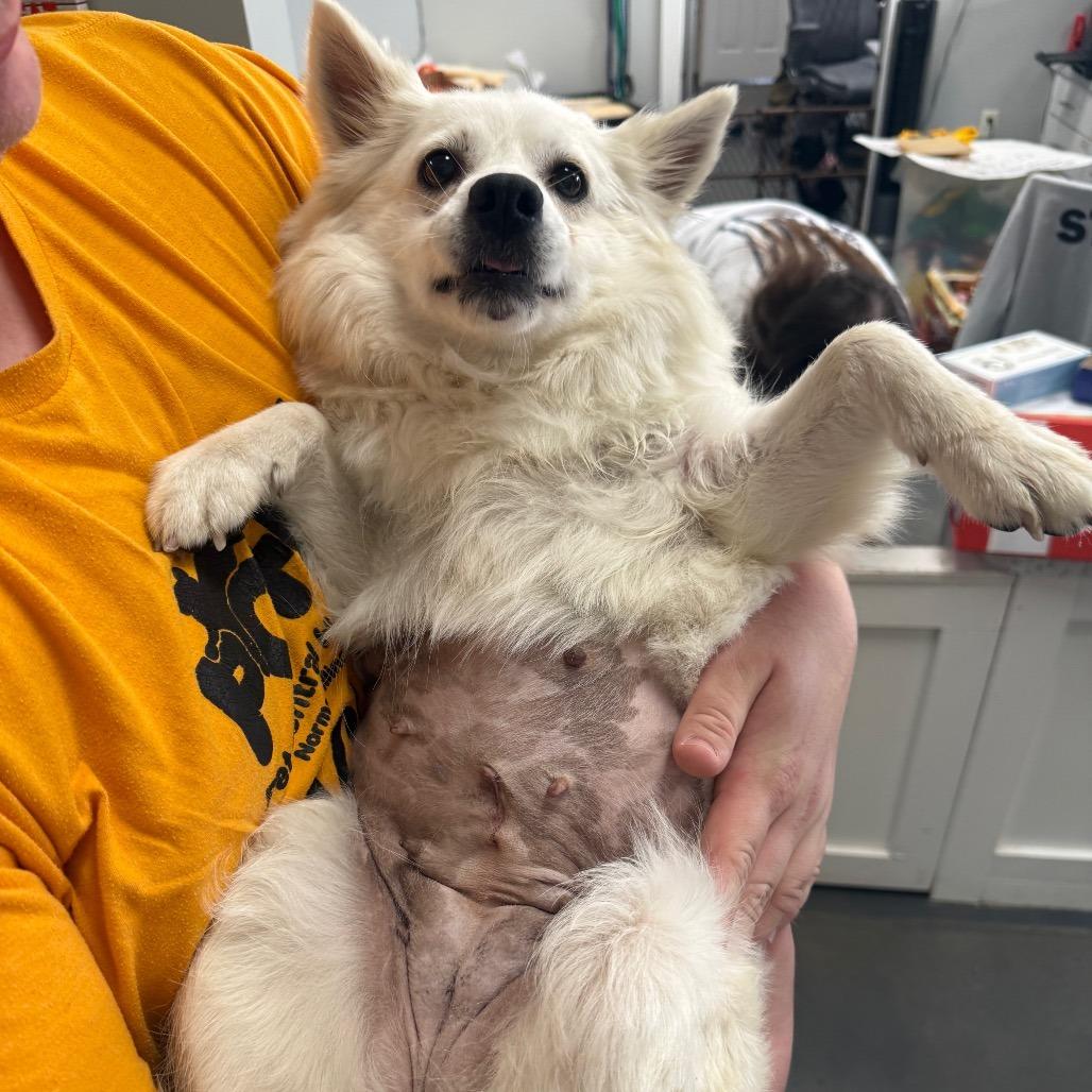 Glitters thumbnail 3