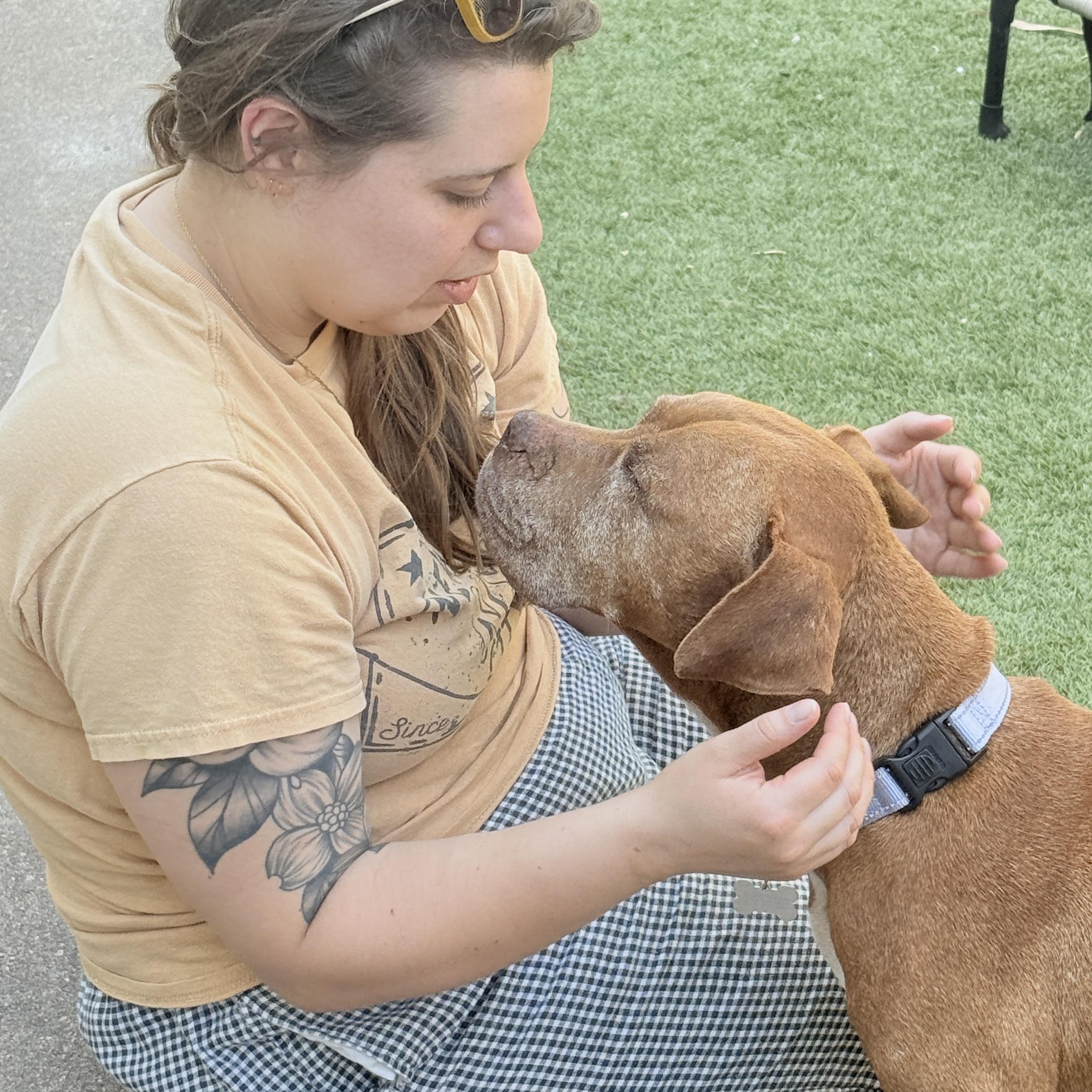 Cider — thumbnail 5