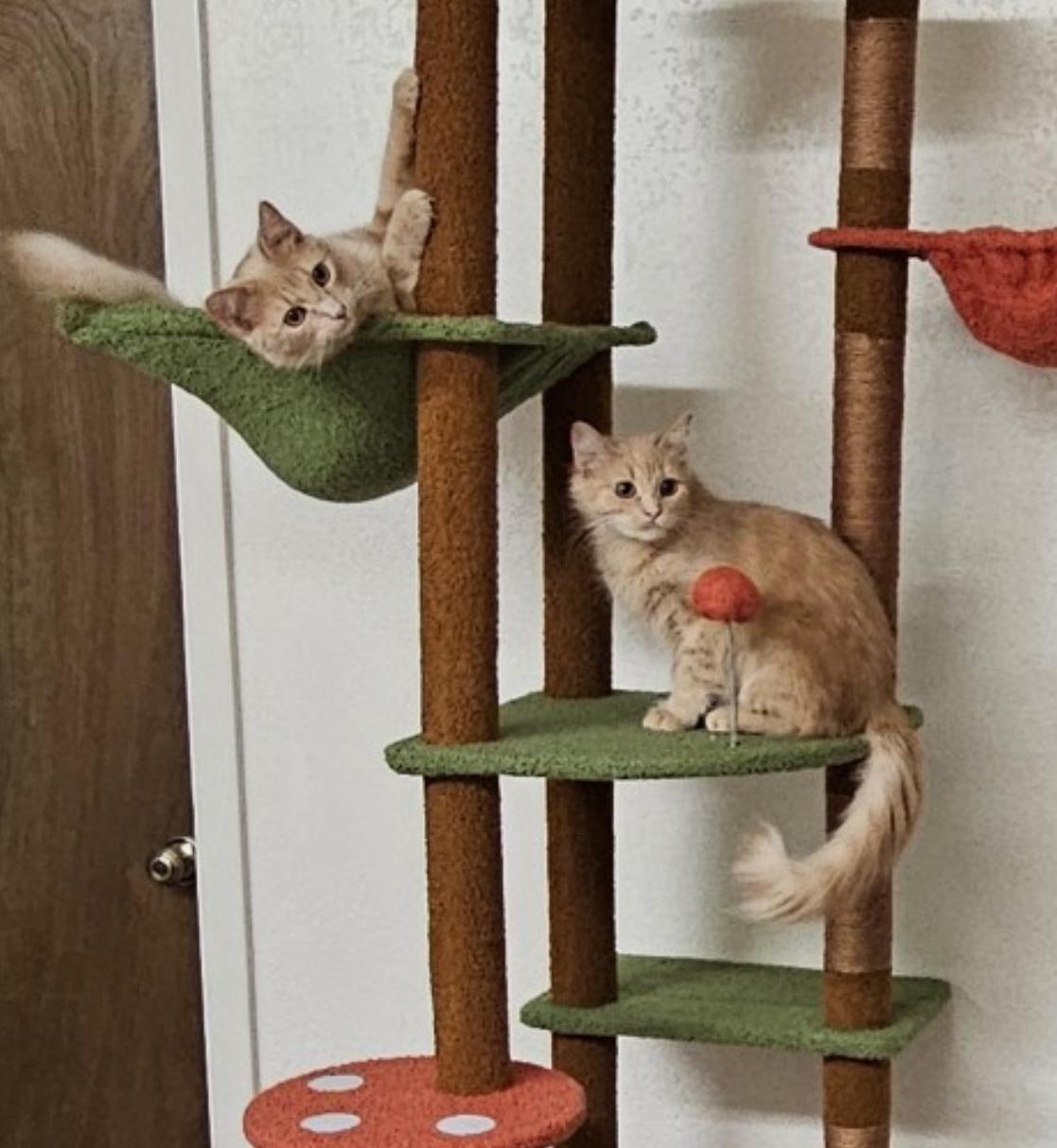 Bee & Honey thumbnail 4