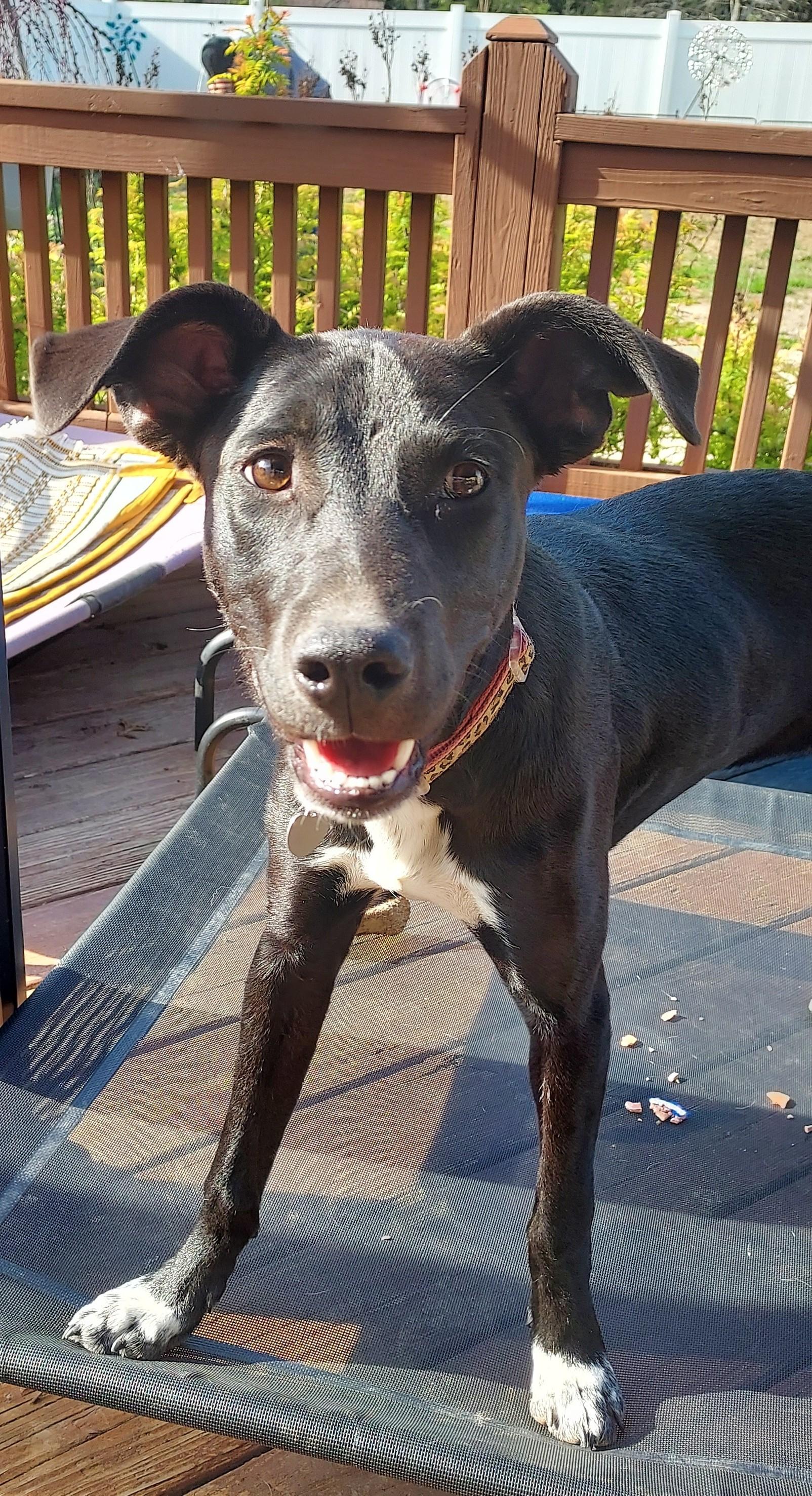 Lainey photo 6