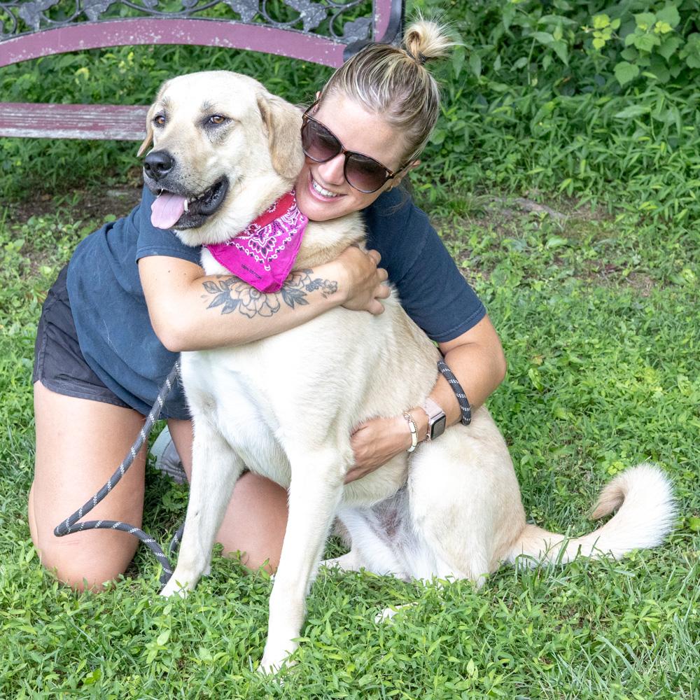 Sienna (Female) , an adoptable mixed breed in West Grove, PA image 2/6