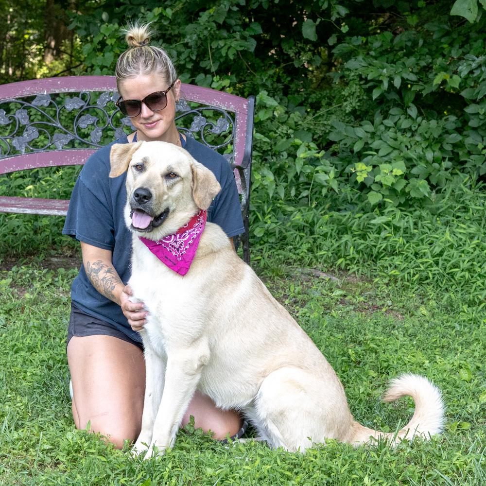 Sienna (Female) , an adoptable mixed breed in West Grove, PA image 5/6