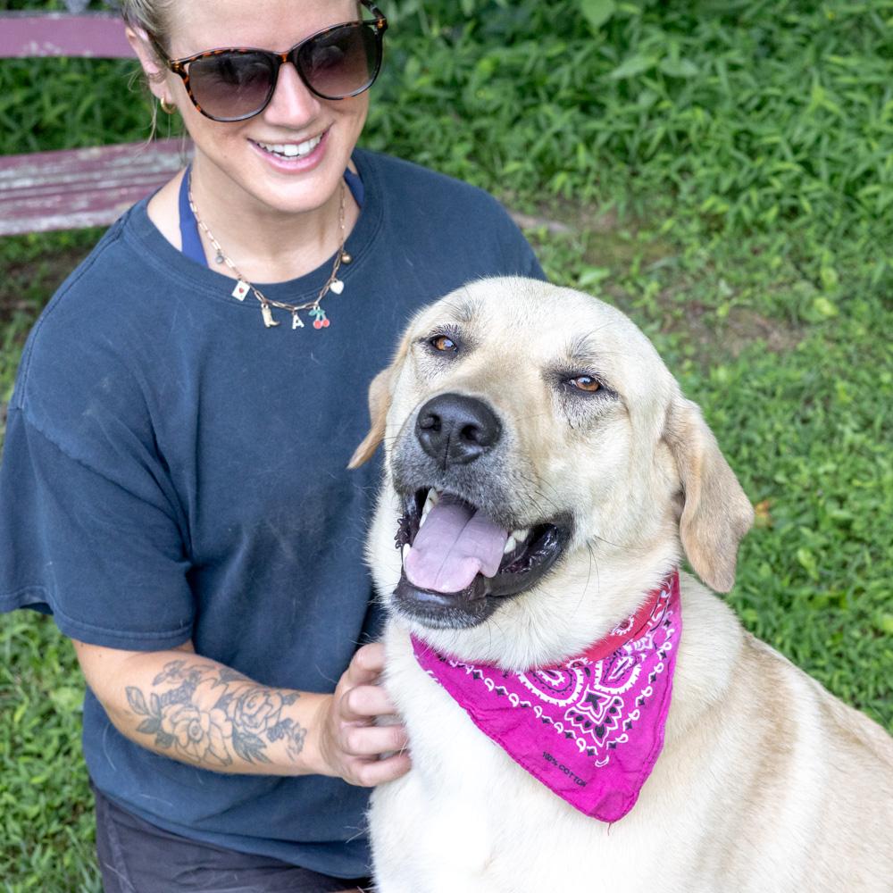 Sienna (Female) , an adoptable mixed breed in West Grove, PA image 6/6