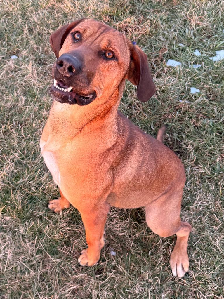 Champagne thumbnail 5