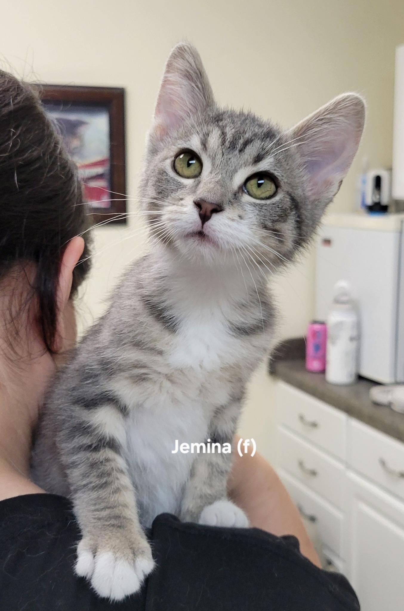 Jemina