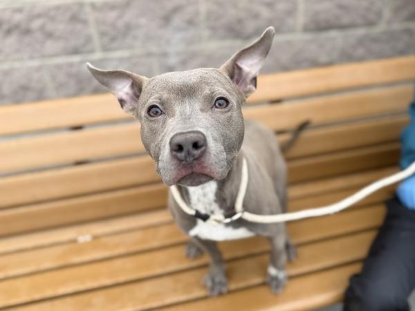 Rylo — thumbnail 2