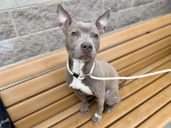 Rylo — thumbnail 3