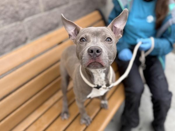 Rylo — thumbnail 4