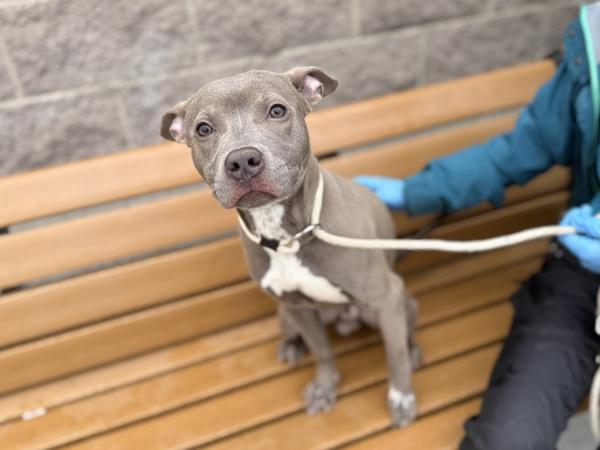 Rylo — thumbnail 5