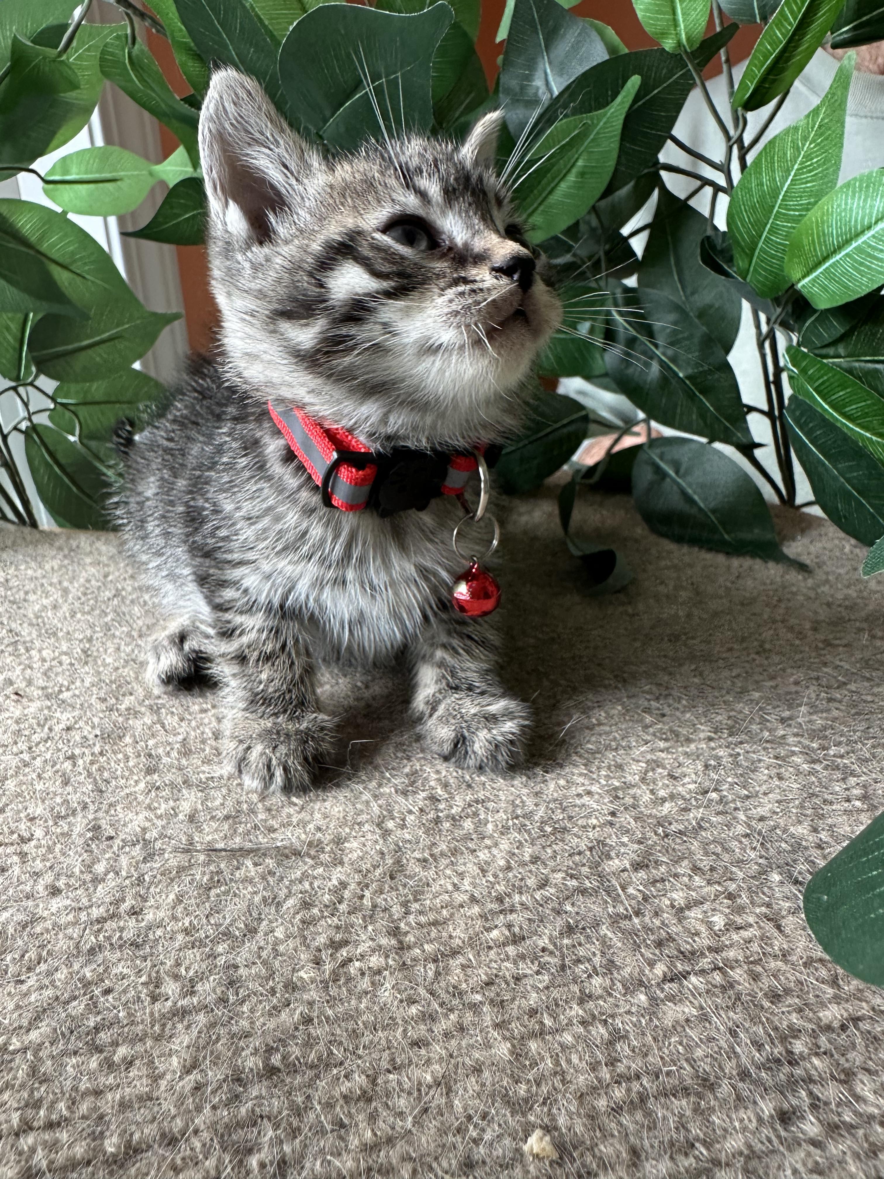 Leroy