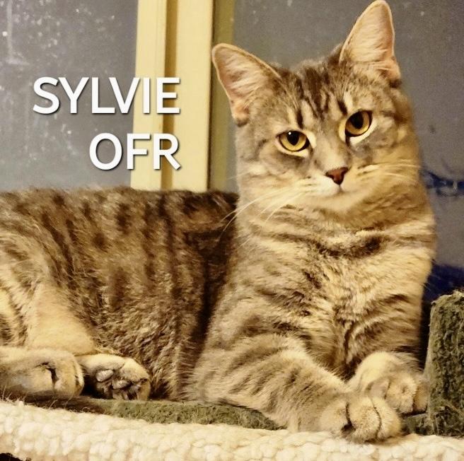 Sylvie