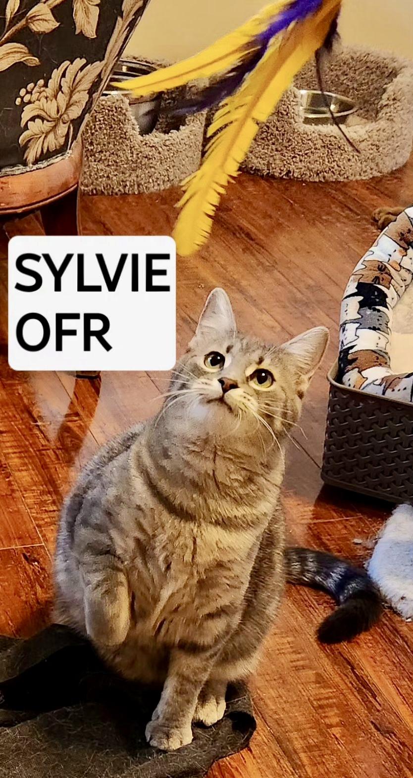 Sylvie