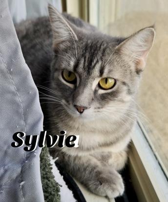 Sylvie