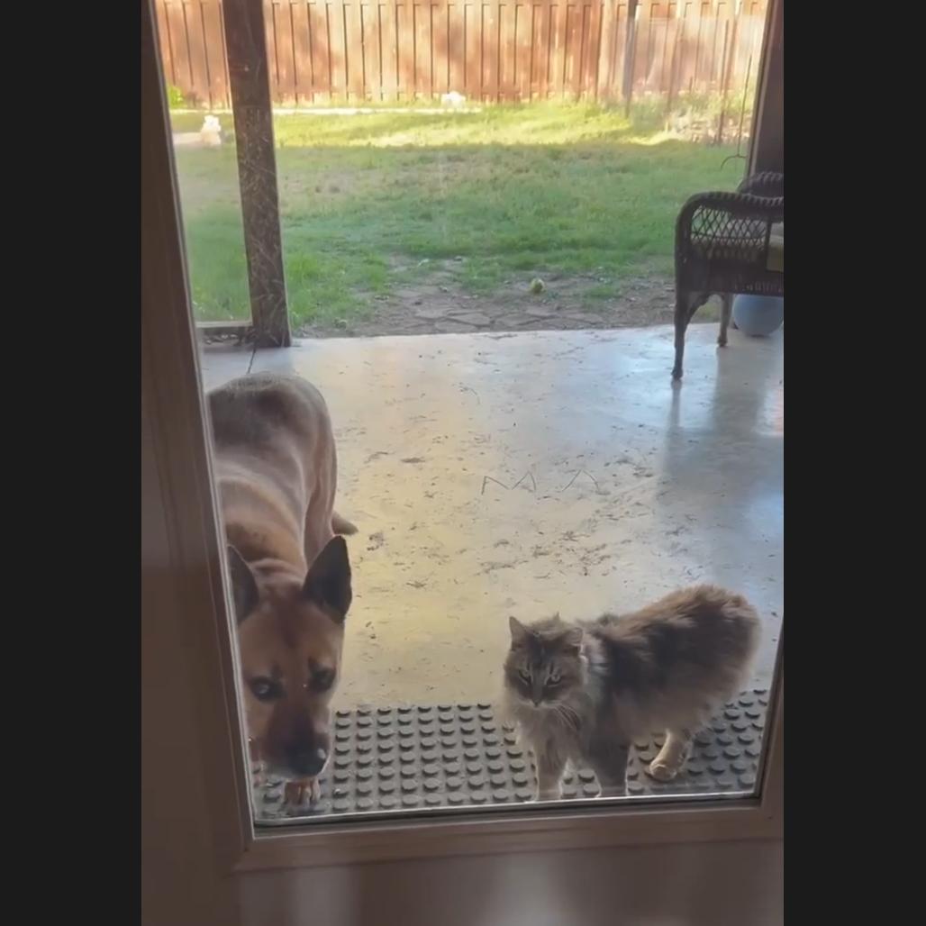 Sydney — thumbnail 2