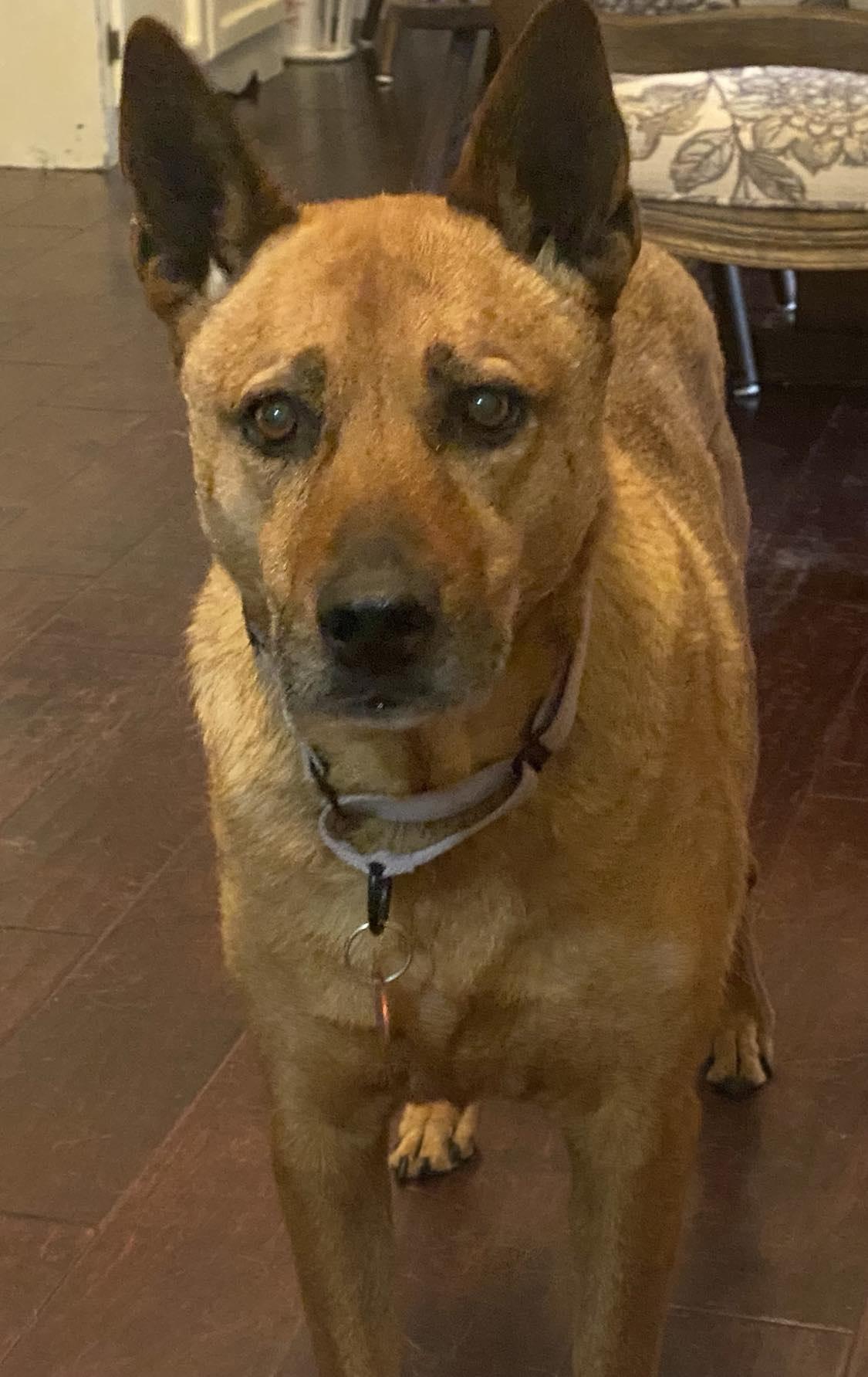 Sydney — thumbnail 4