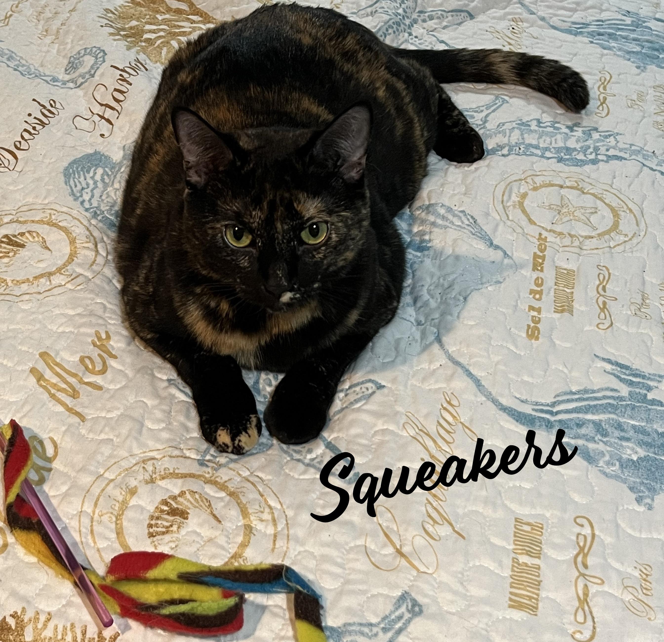 Squeakers #bonded-to-Felix