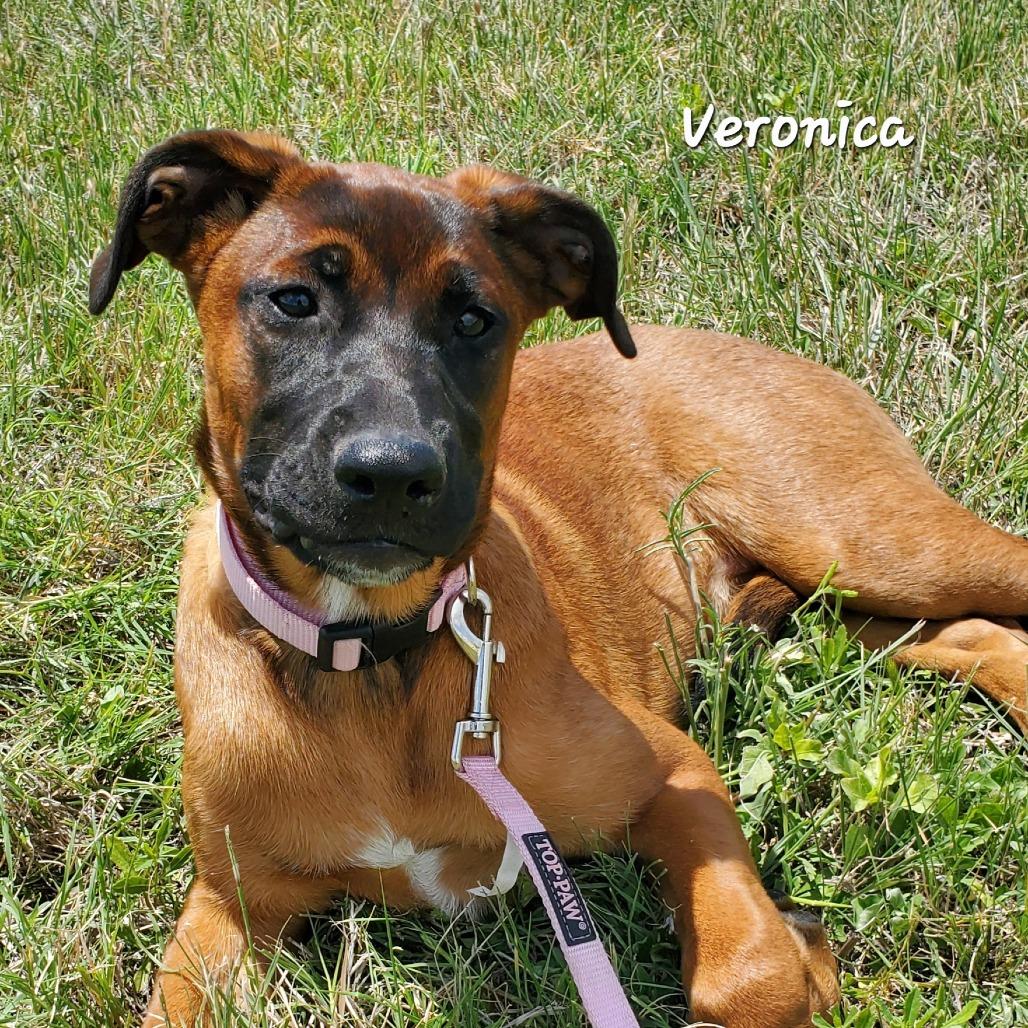 Veronica Lk photo 1