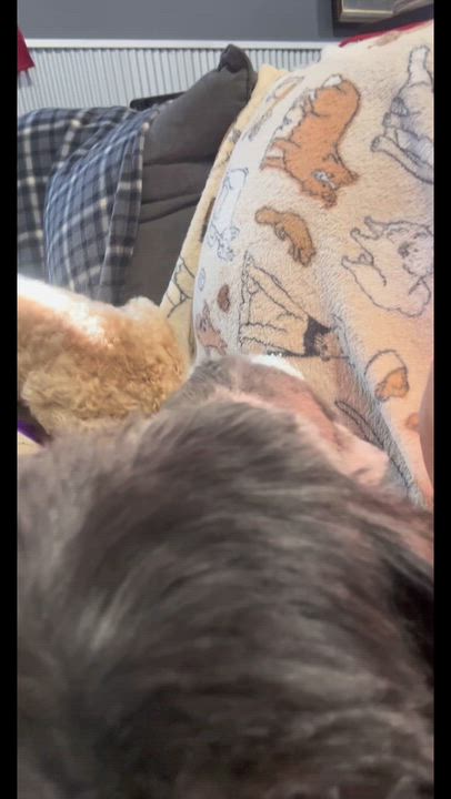 Enlarge Sharlene 10.4 lbs, a Adoptable Shih Tzu in Antwerp, OH video 6/6