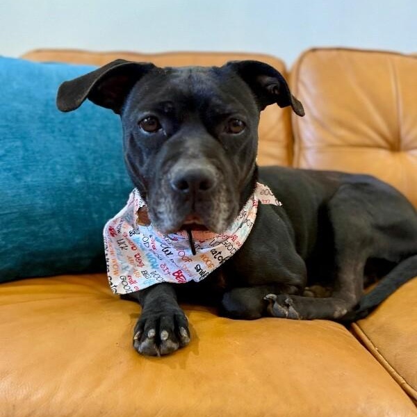 Blanche Nap Enthusiast