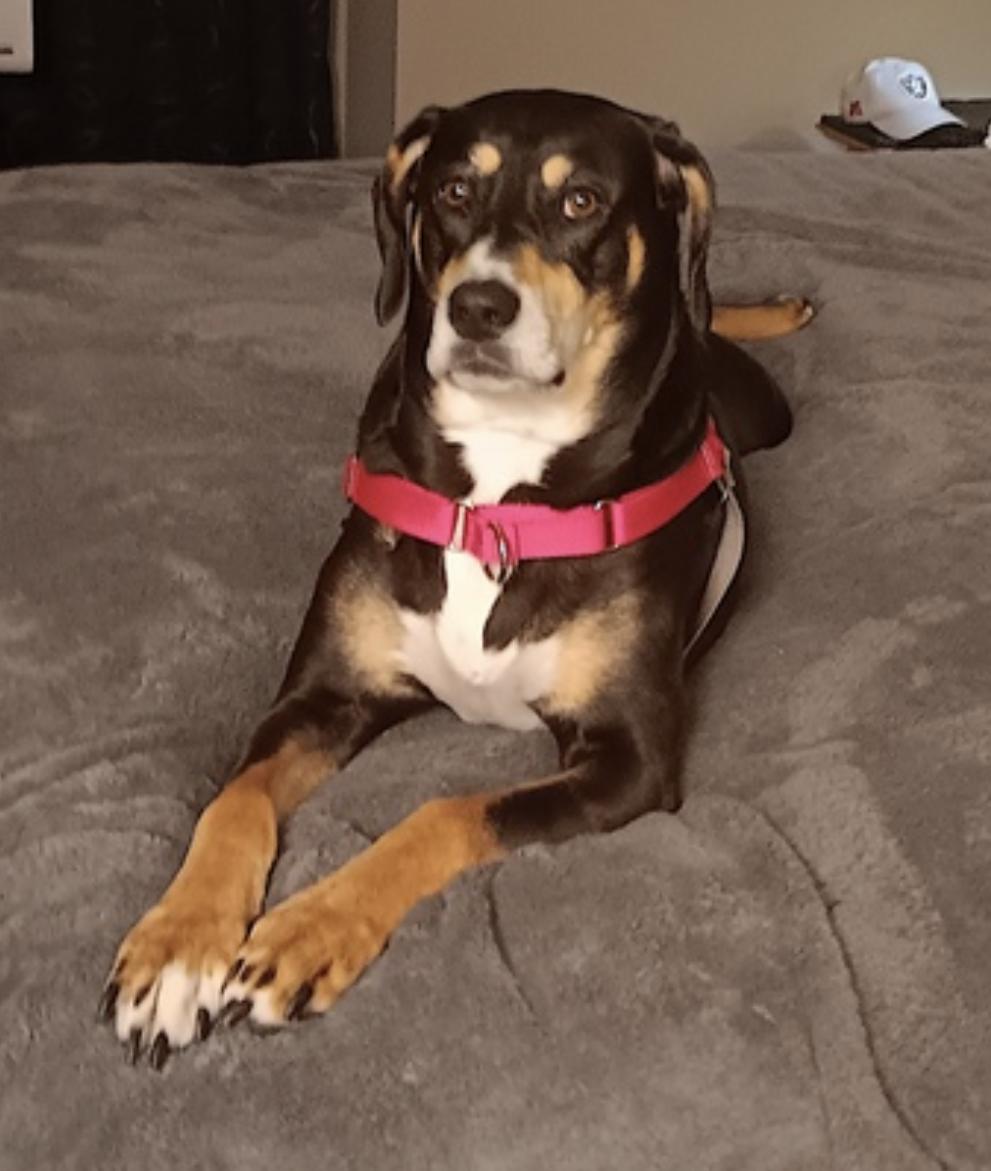 Penny — thumbnail 4