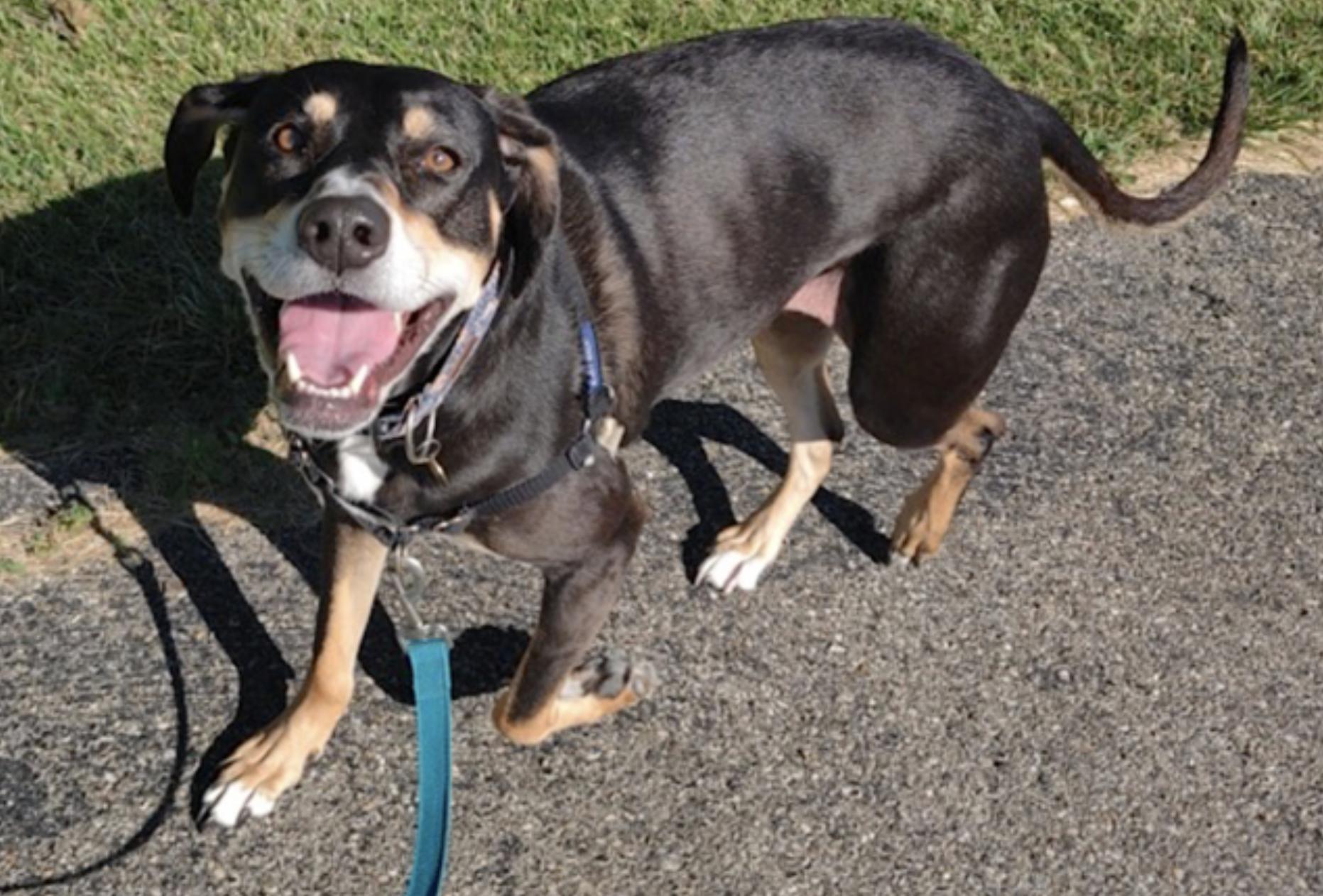 Penny — thumbnail 5