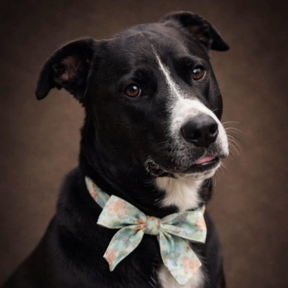 Nina — thumbnail 2