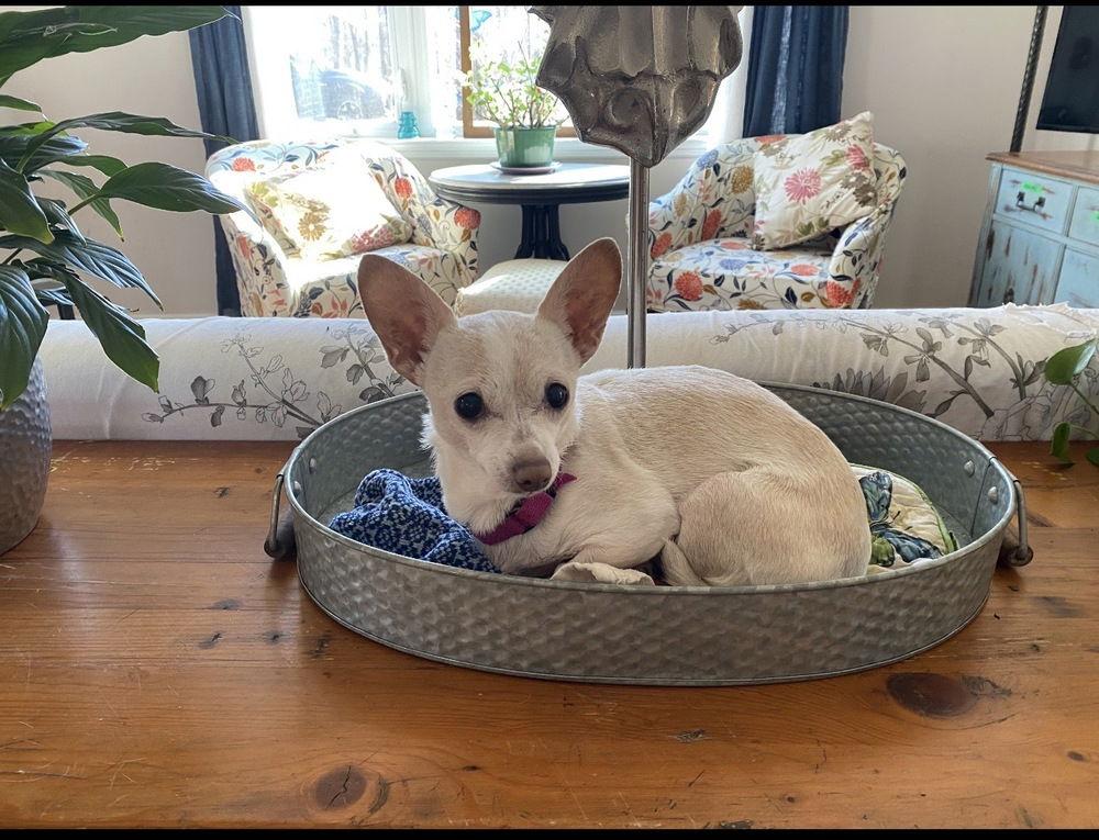 Mable(Mabeline)~ — thumbnail 2