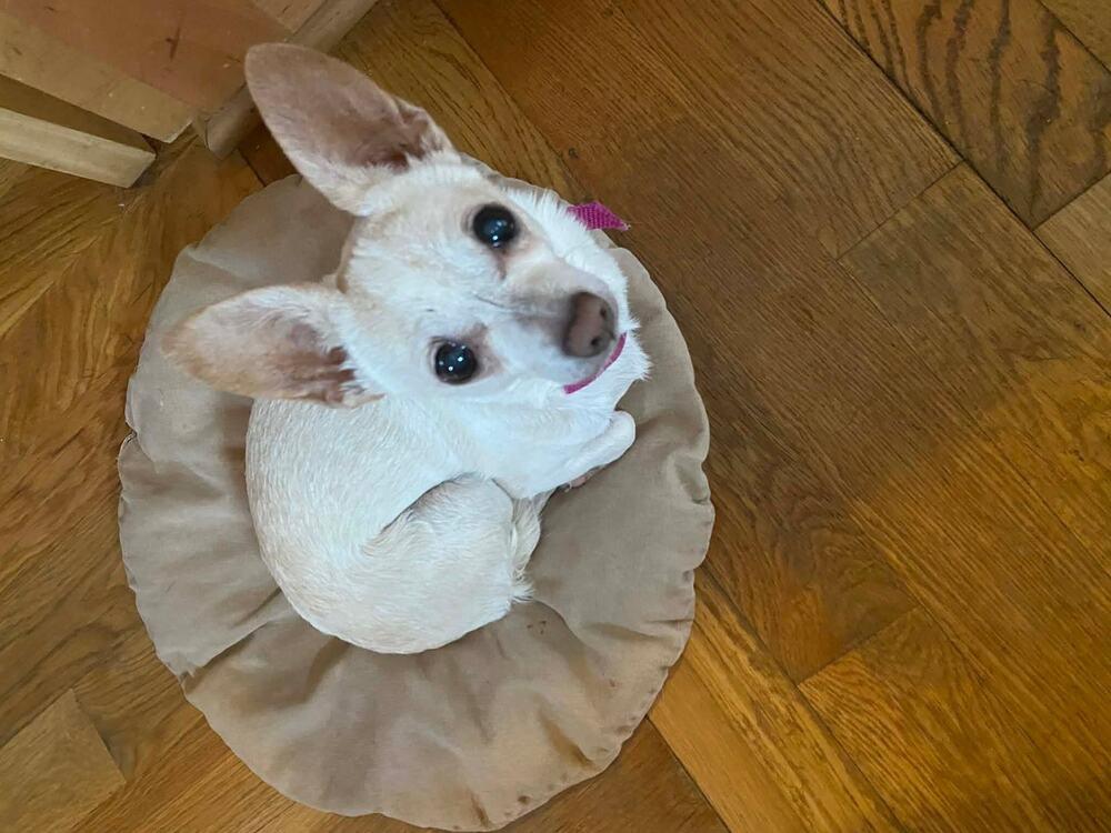 Mable(Mabeline)~ — thumbnail 3