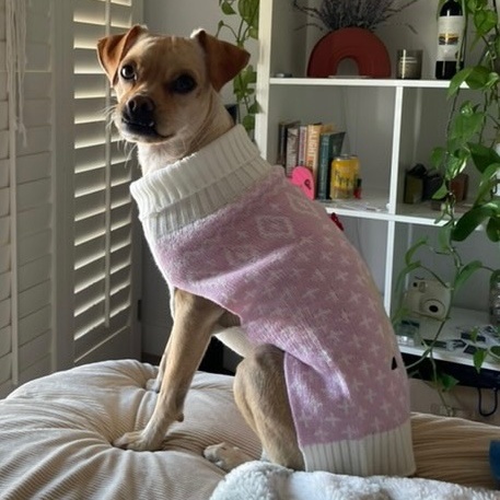 Pippa 4