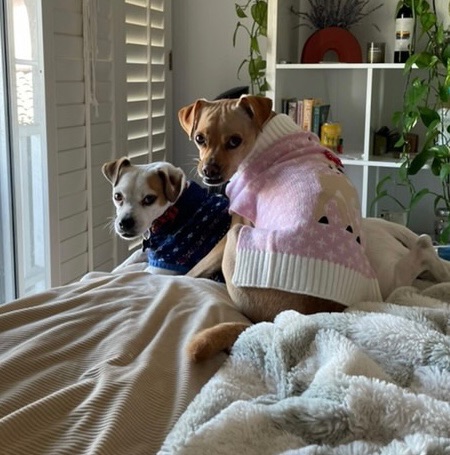 Pippa 5