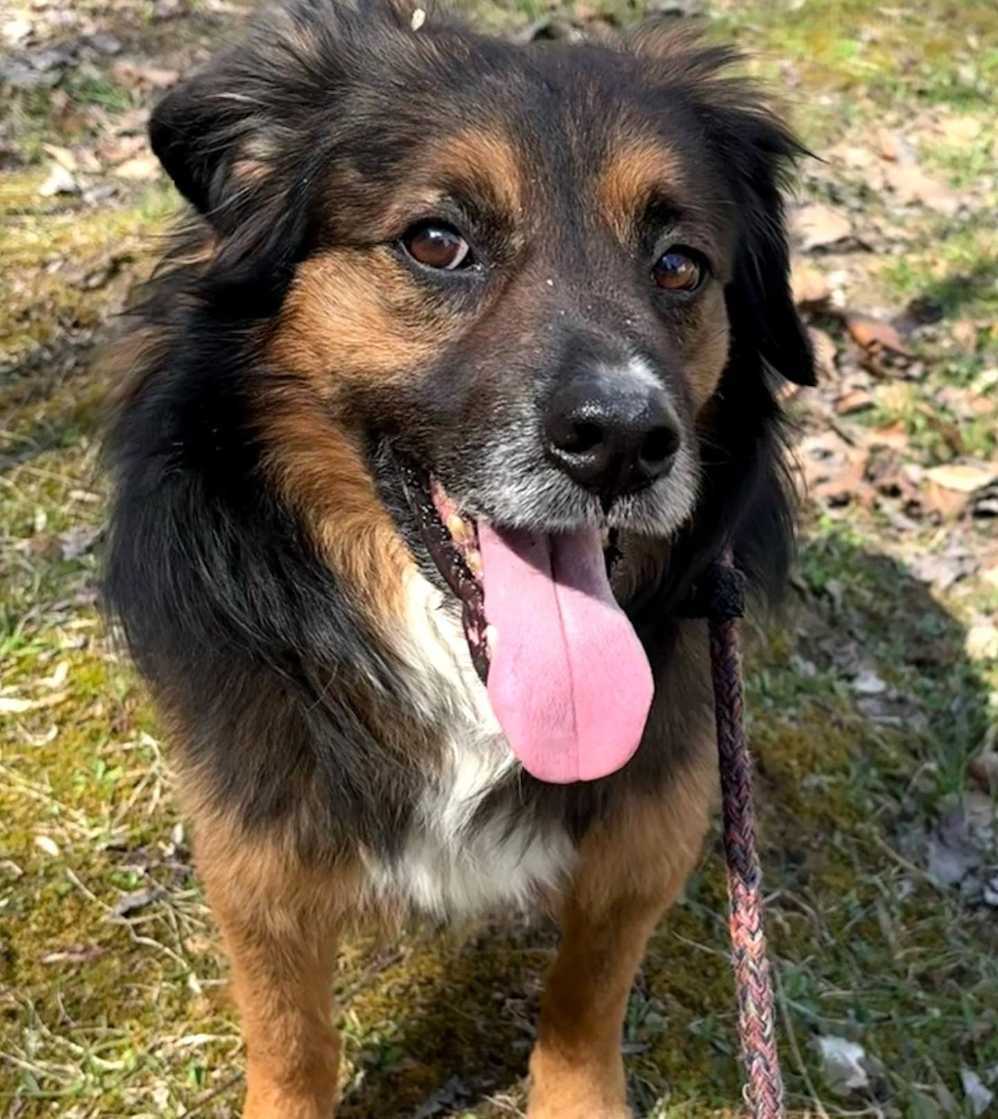 Fred-Available (Courtesy Post) contact lharinfo@gmail.com for information