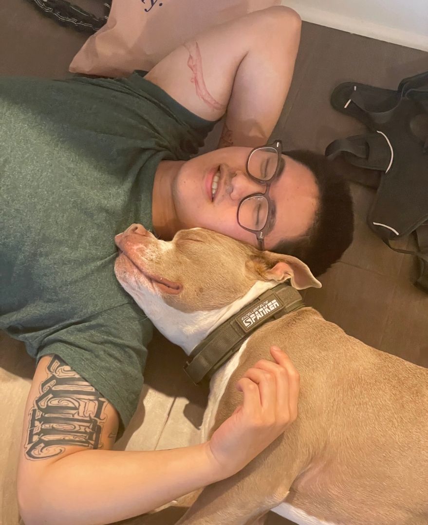 Enlarge Mochi, a Adopted mixed breed in Stone Mountain, GA image 5/6