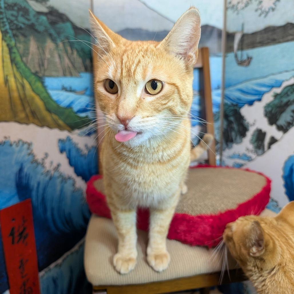 Freyr Fred — thumbnail 3