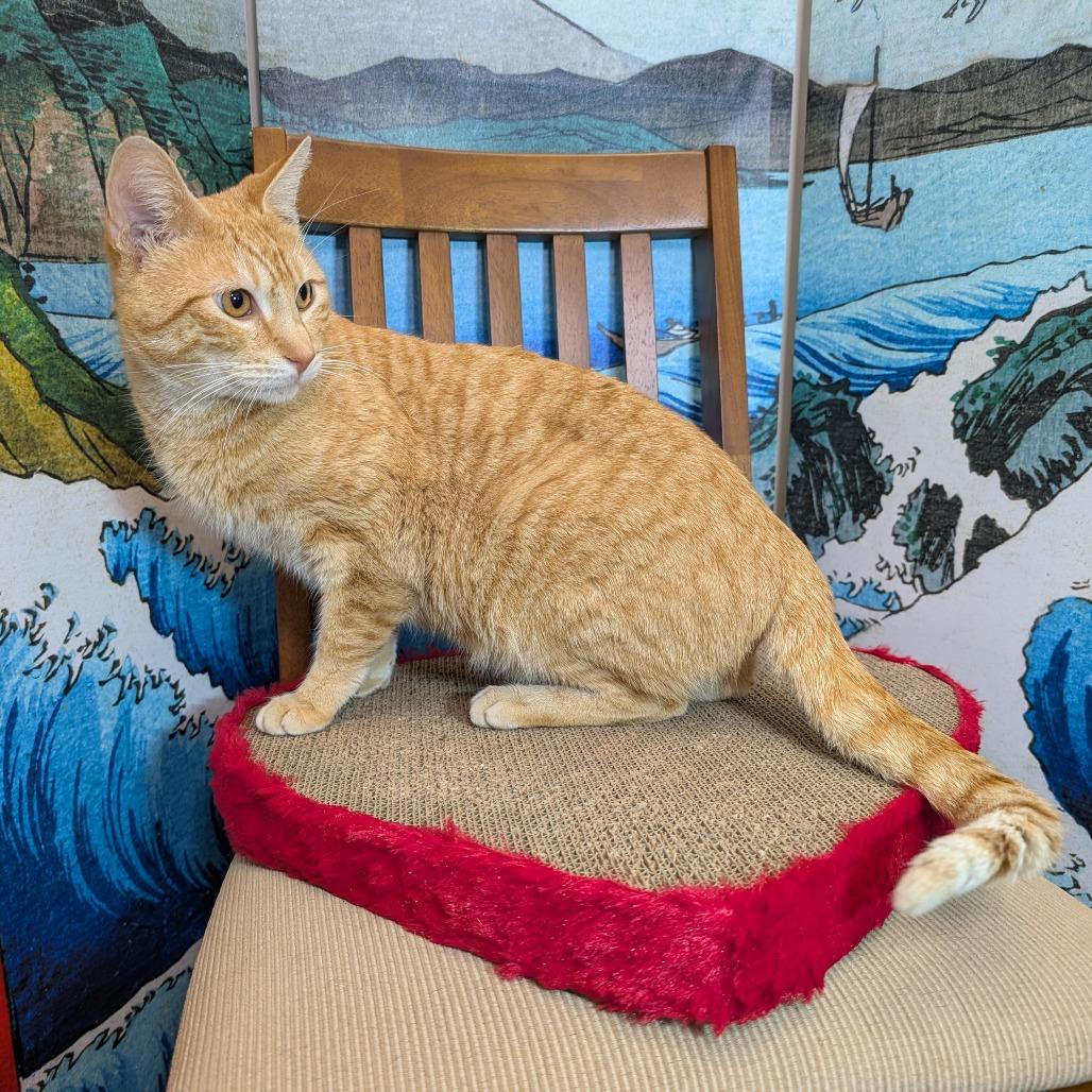 Freyr Fred — thumbnail 5