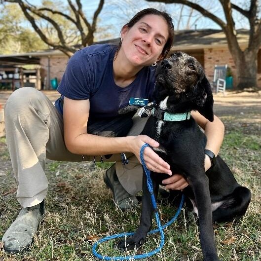 Waylon Jennings The Floppy Eared Heartstealer — thumbnail 4