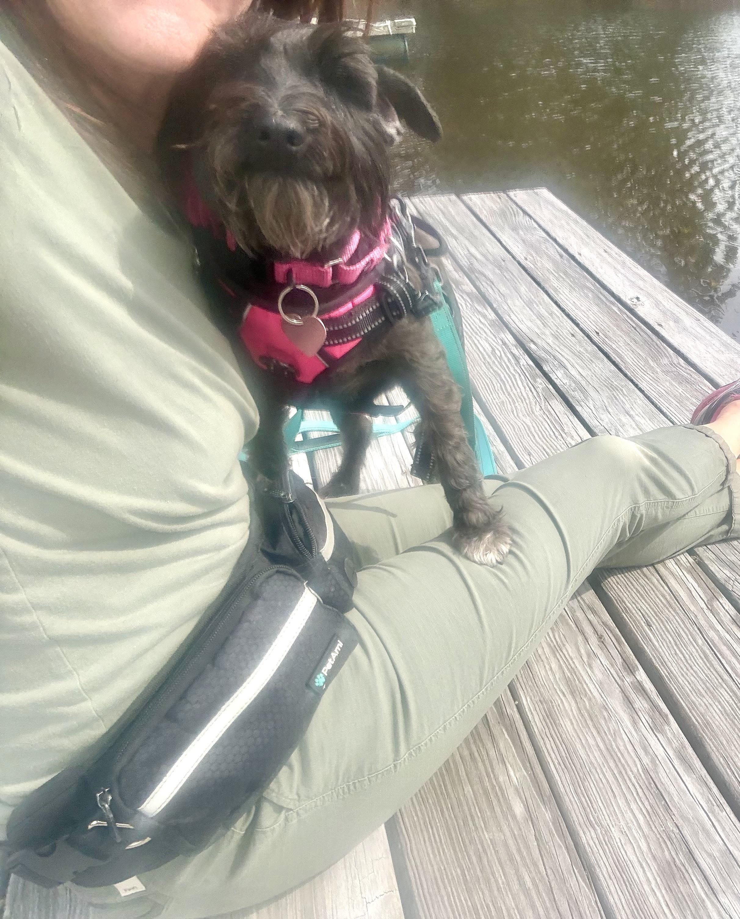 Enlarge Leigha, a ADOPTABLE Miniature Schnauzer in Weare, NH image 6/6