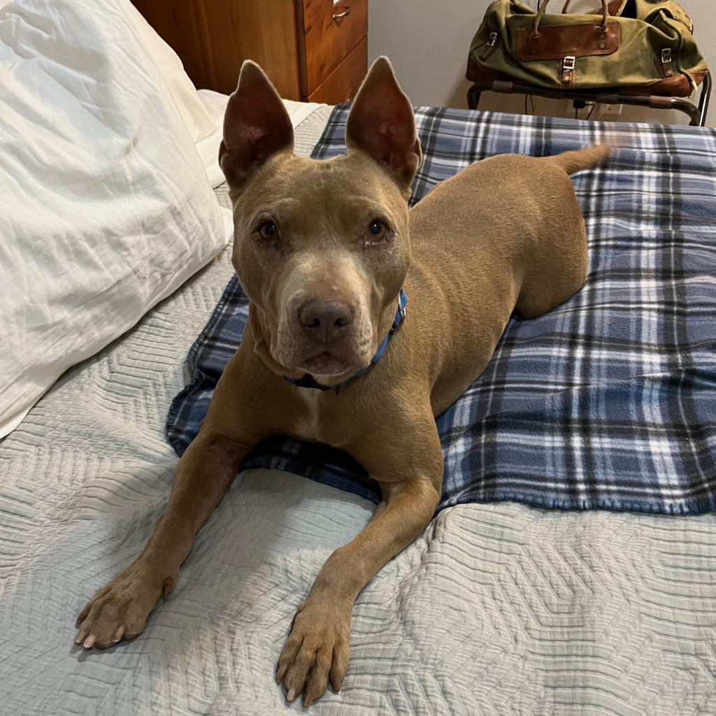 Lola — thumbnail 6