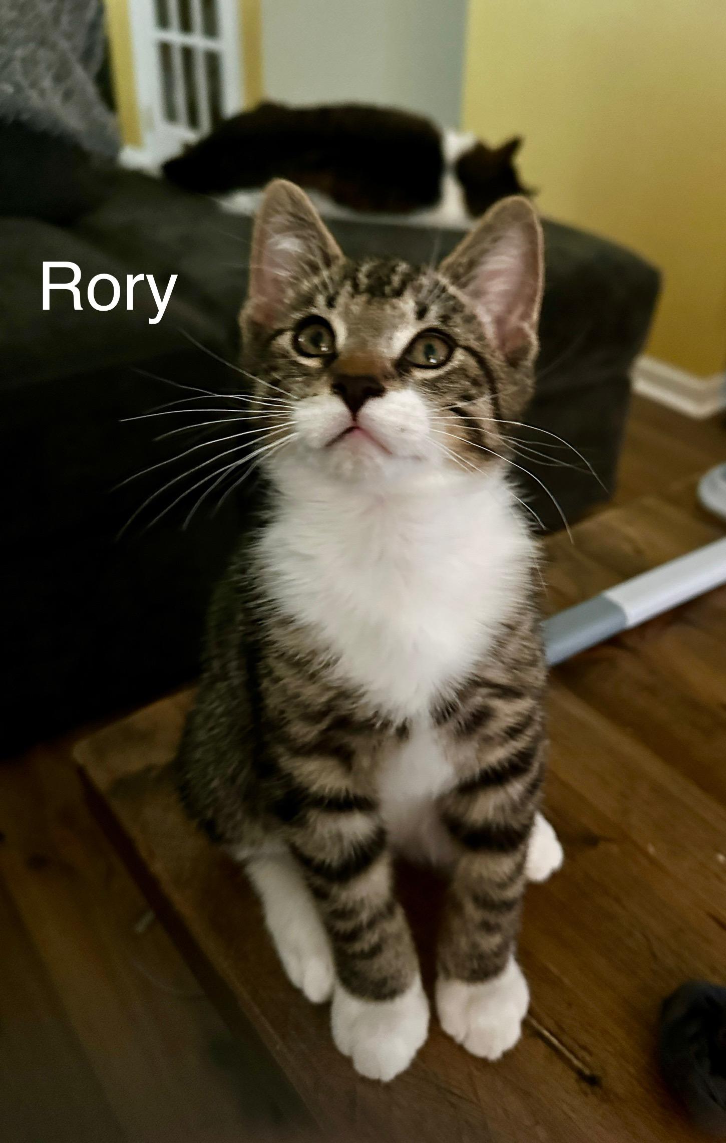Riley And Rory thumbnail 2